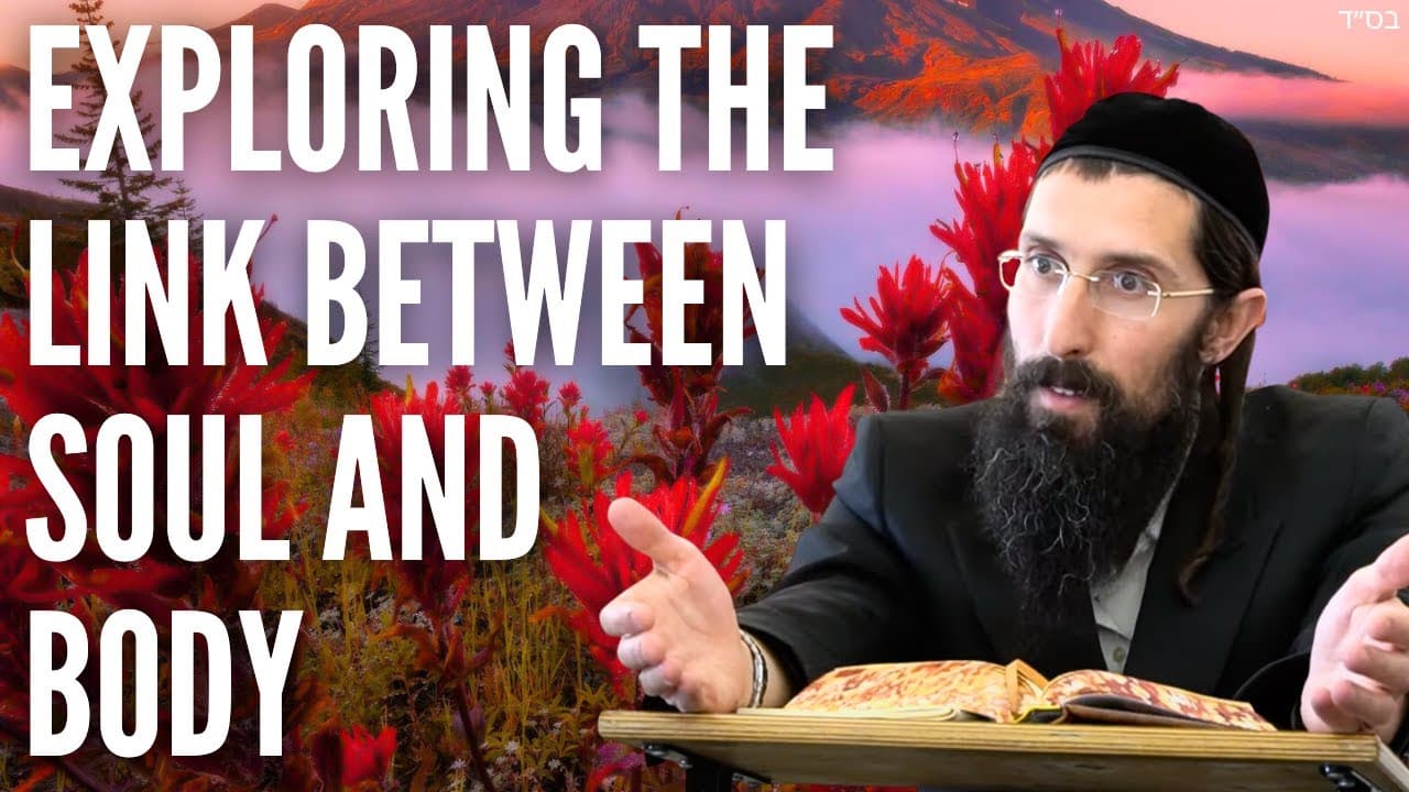 Exploring the Link Between Soul and Body