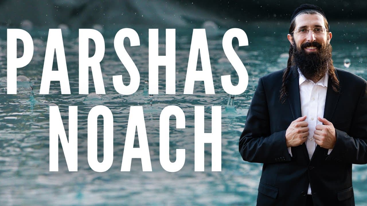 Parshas Noach - Seeing The Best You