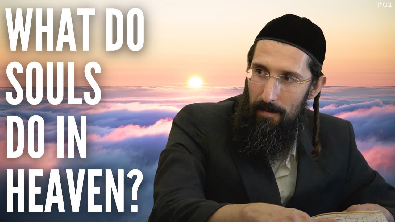 What Do Souls Do in HEAVEN???