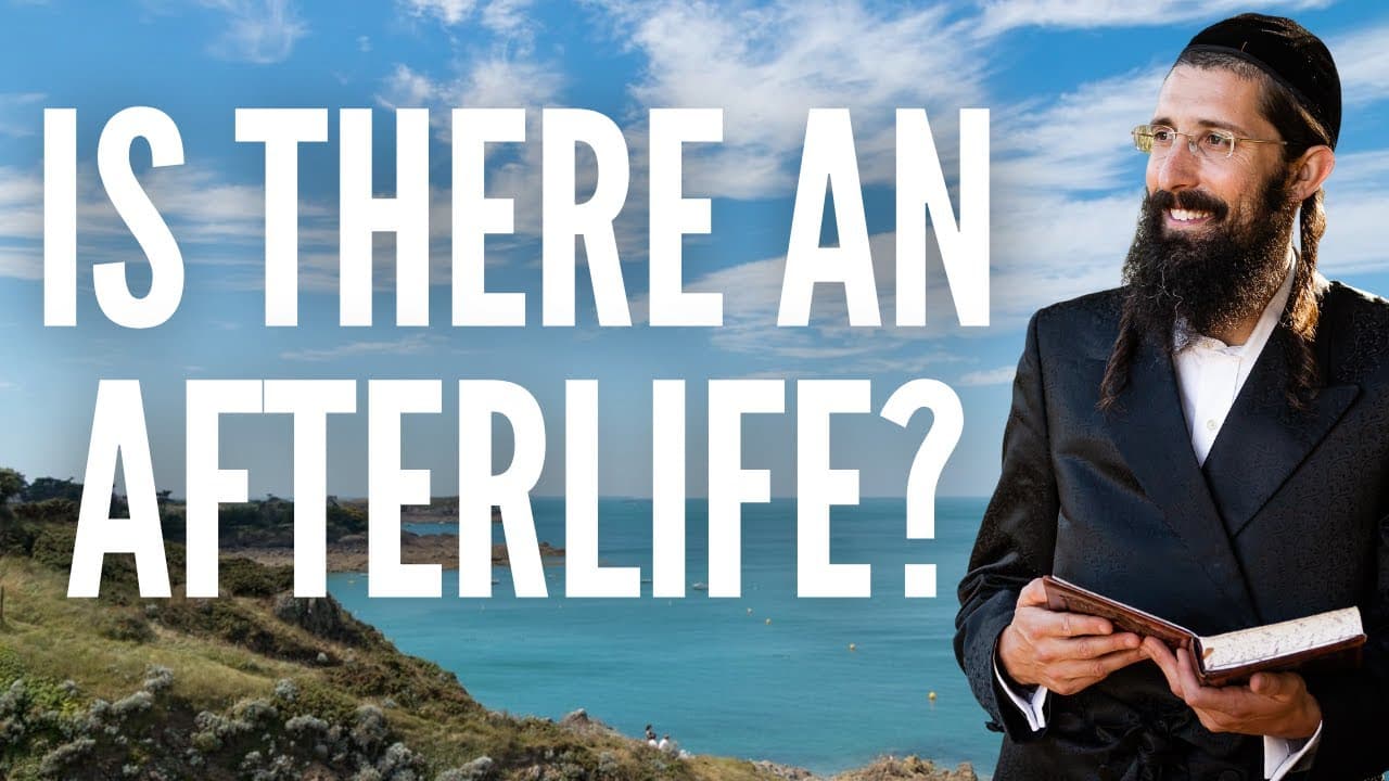 Is There an AFTERLIFE?