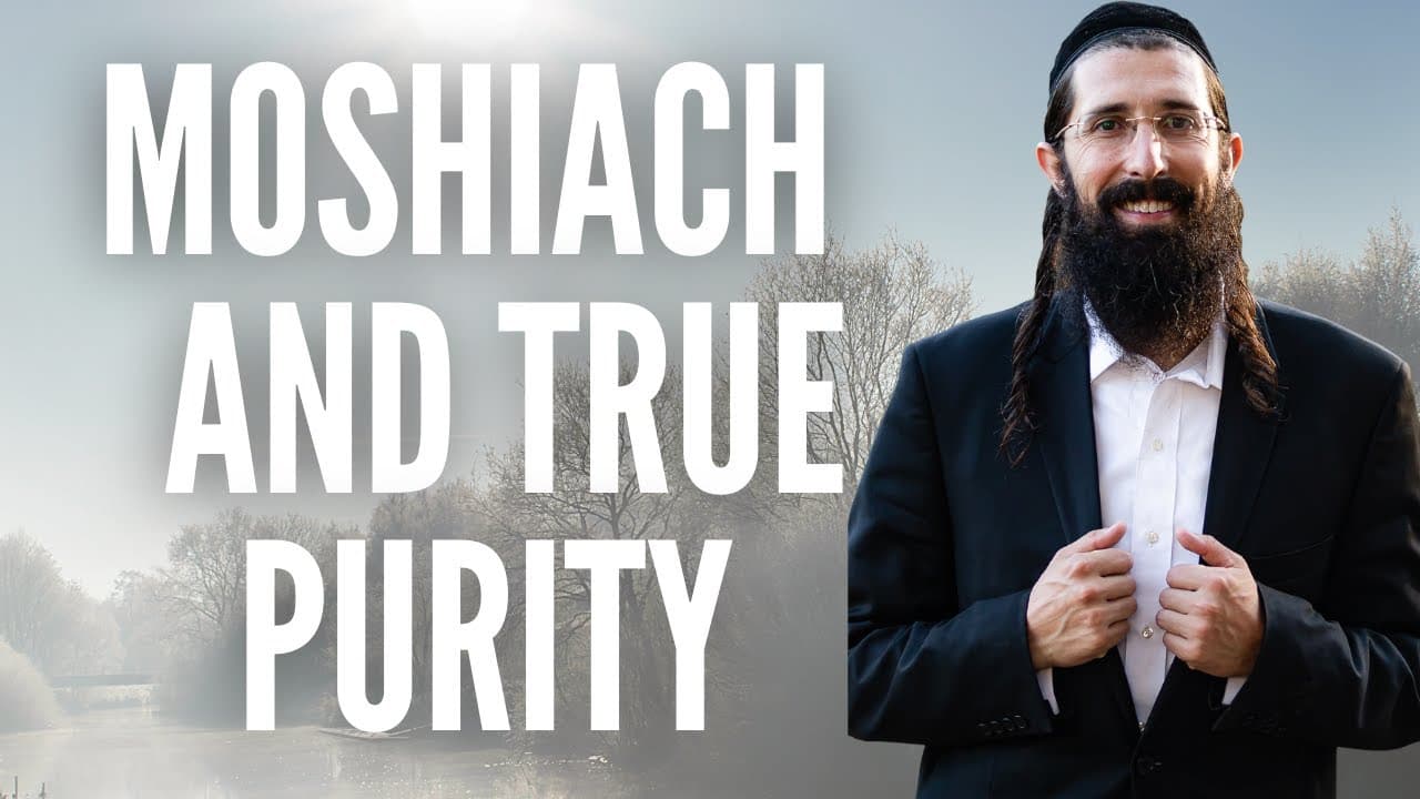 Moshiach Will Teach Us True Purity