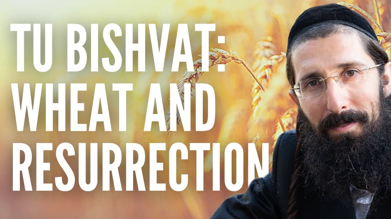 Tu Bishvat Seder - Wheat and Resurrection of the Dead (Stream Highlight)