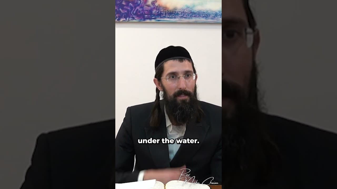 Righteous Jews Are Like Fish #shorts