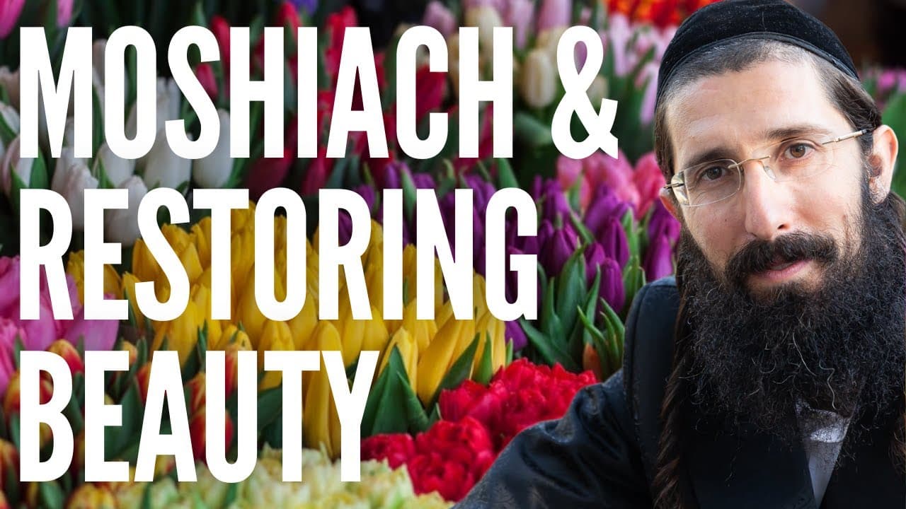 Moshiach & Restoring Our Beauty Again