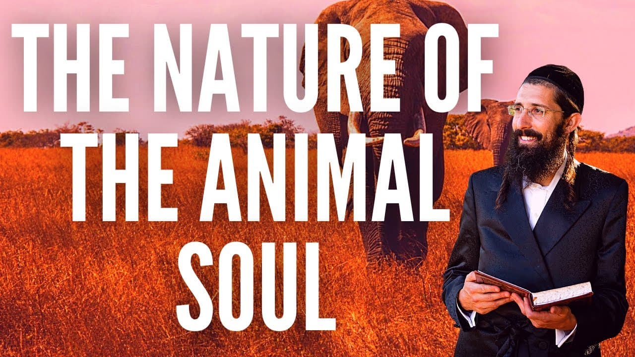 The Nature of the Animal Soul (Tanya - Class 14)