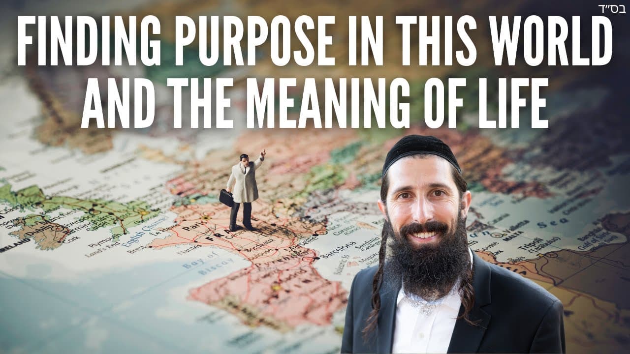 Finding Purpose in THIS World and The Meaning of Life