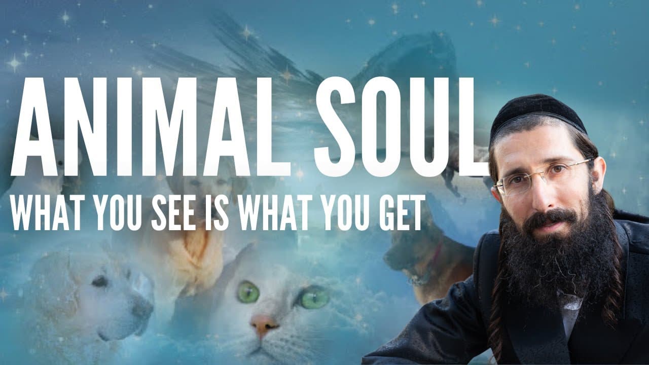 The Animal Soul - What You See Is What You Get (Rebbe Nachman Torah Aleph)
