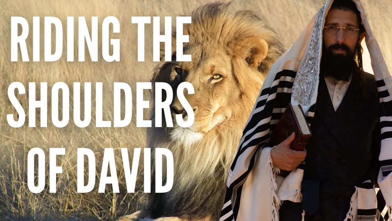 Riding The Shoulders of David - Hoshanah Rabbah