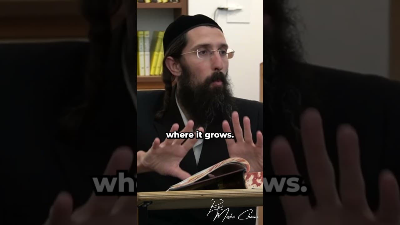 Jews Flourish in Israel