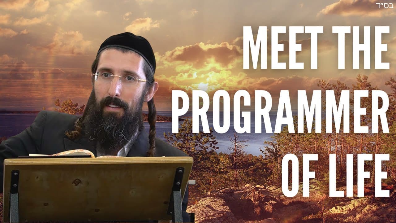 Meet the Programmer of Life