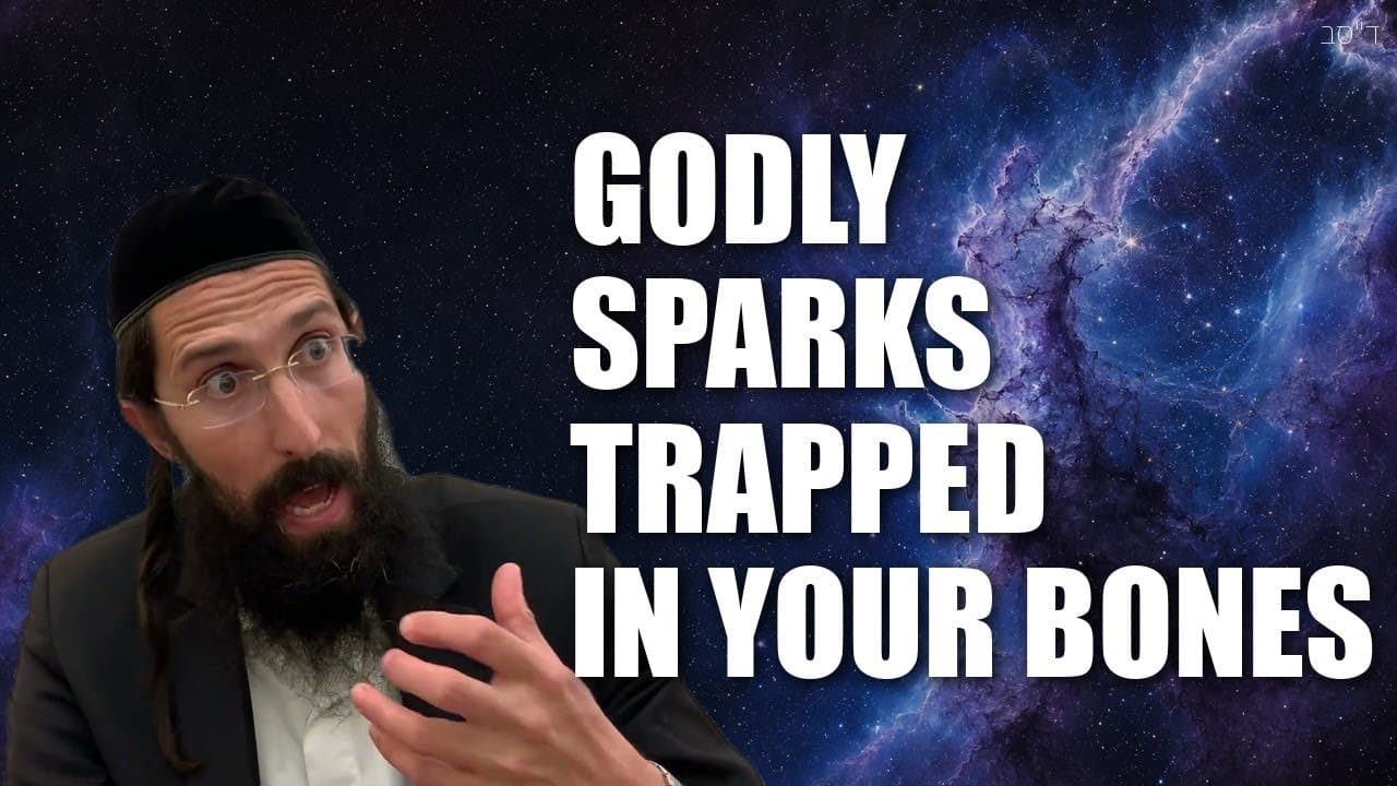 The Secrets that are written on your BONES