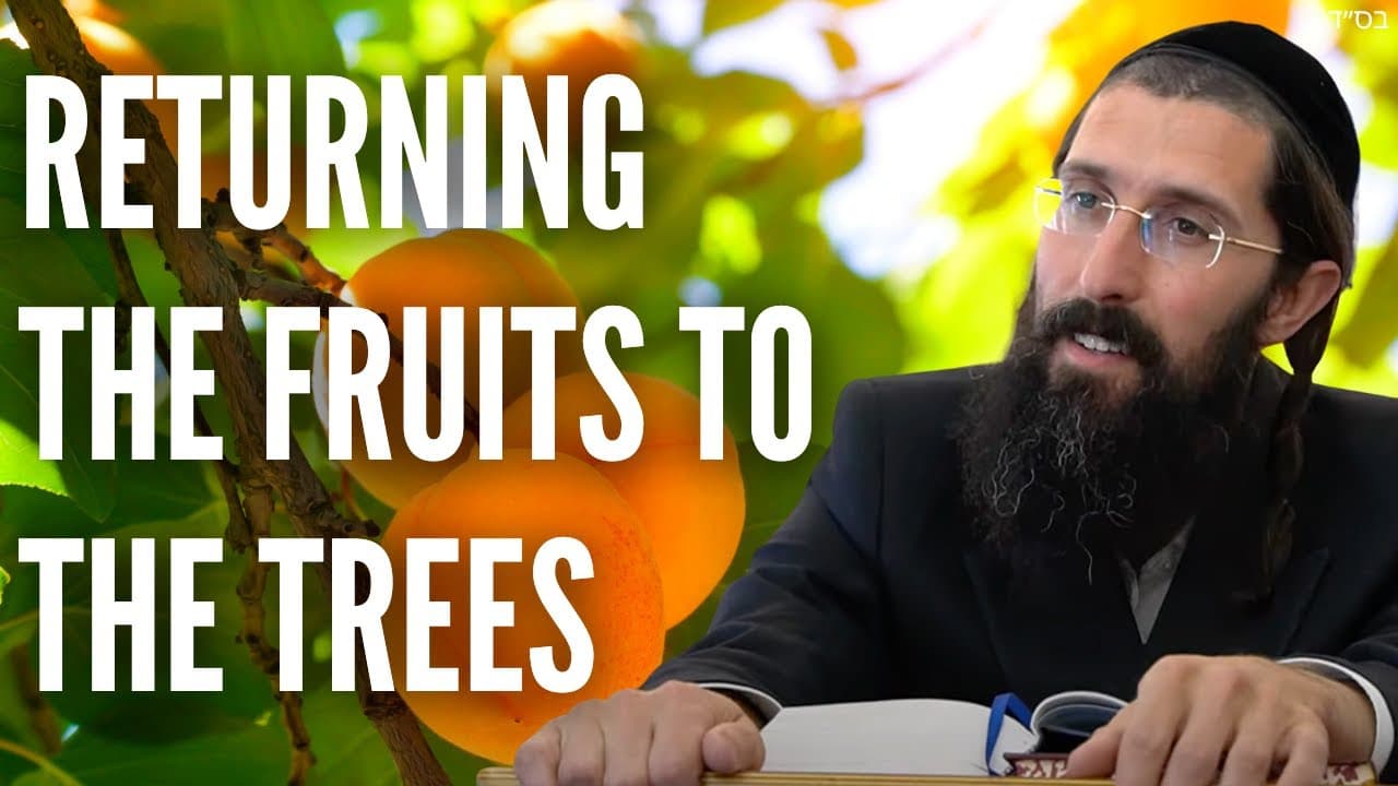 Returning the FRUITS to the Trees