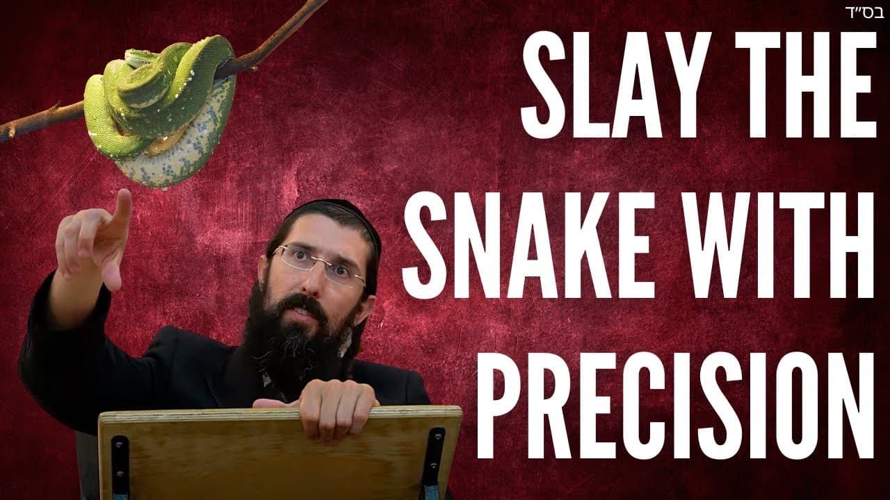 Slay The Snake with Precision