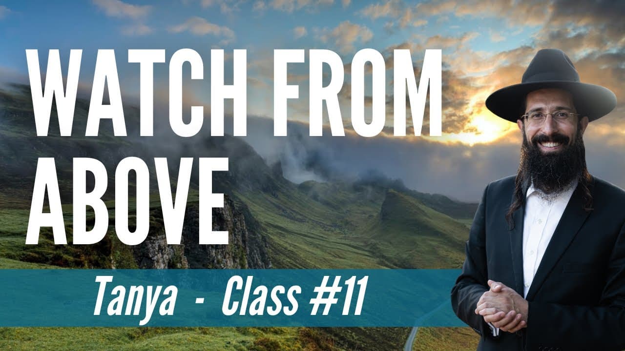 Watch From Above (Tanya - Class 11)