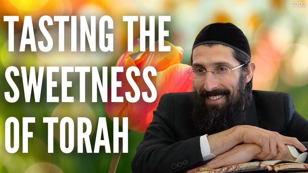 Here’s what you didn’t know about Tasting the Sweetness of Torah