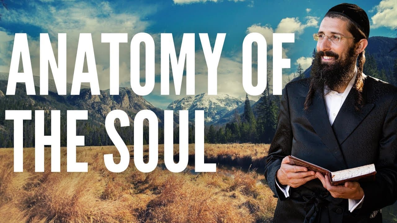 Anatomy of the Soul