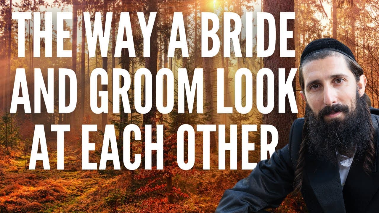 The Way a Bride & Groom Look at Each Other