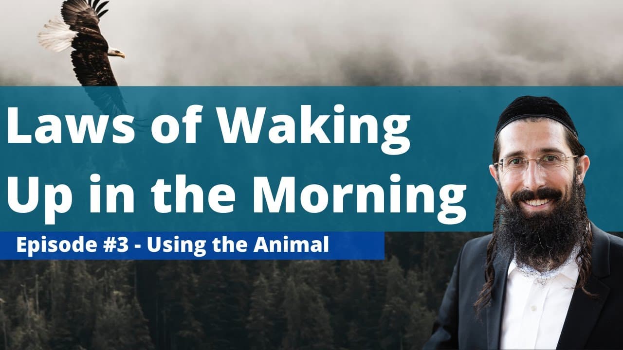 Laws Upon Awakening in the Morning (Chapter 1 Class 3) - Kitzur Shulchan Aruch