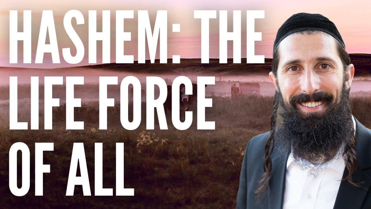 Hashem   The Life Force of All