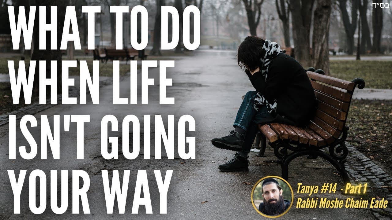 What To Do When Life Isn't Going Your Way