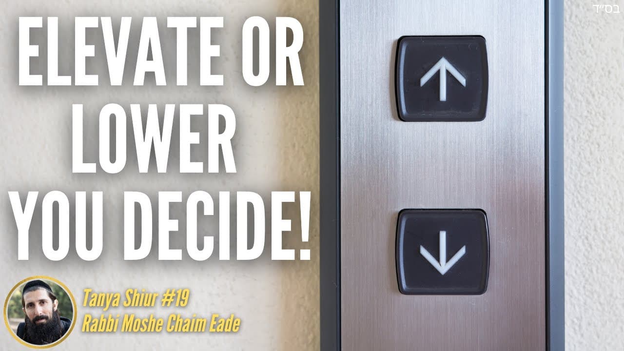Elevate or Lower - You Decide!